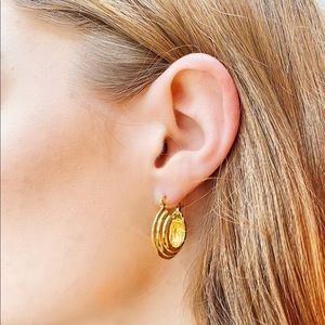 Lucy Williams 18k Gold Medium Ridge Hoop Earrings